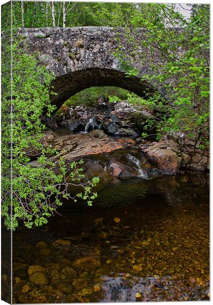 Stone Bridge near Loch Garry Canvas Print by Jacqi Elmslie