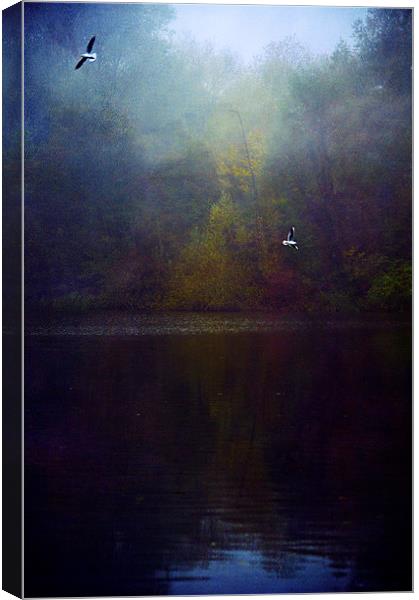 The Silent Pool Canvas Print by Dawn Cox