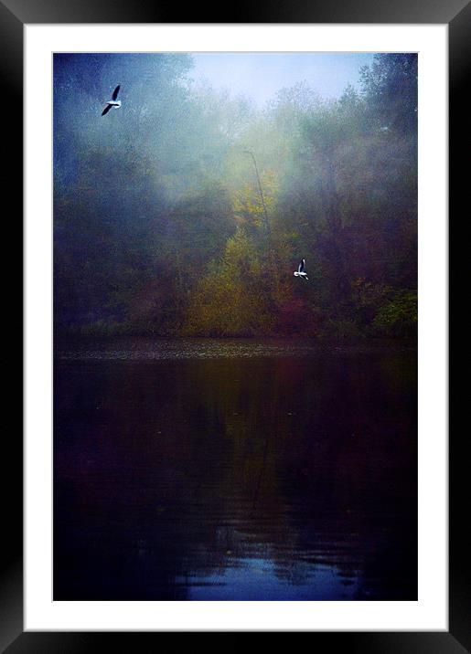 The Silent Pool Framed Mounted Print by Dawn Cox