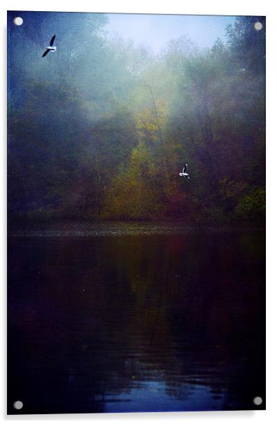 The Silent Pool Acrylic by Dawn Cox