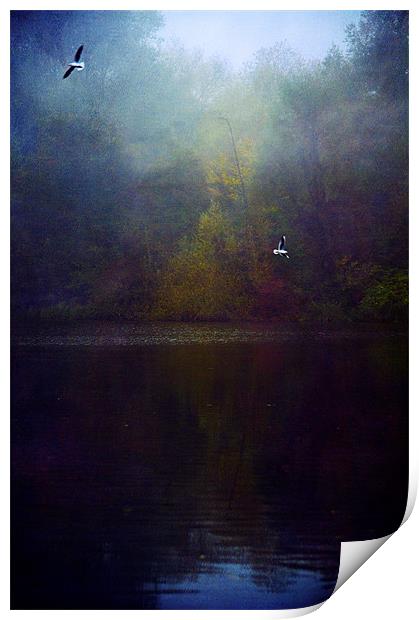 The Silent Pool Print by Dawn Cox