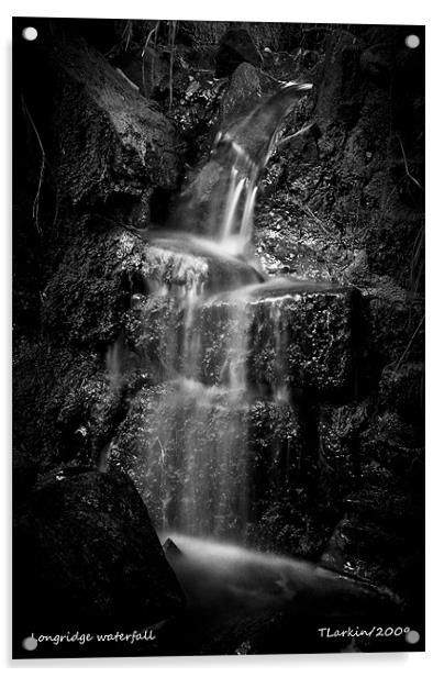 Longridge Waterfall Acrylic by Tony Larkin