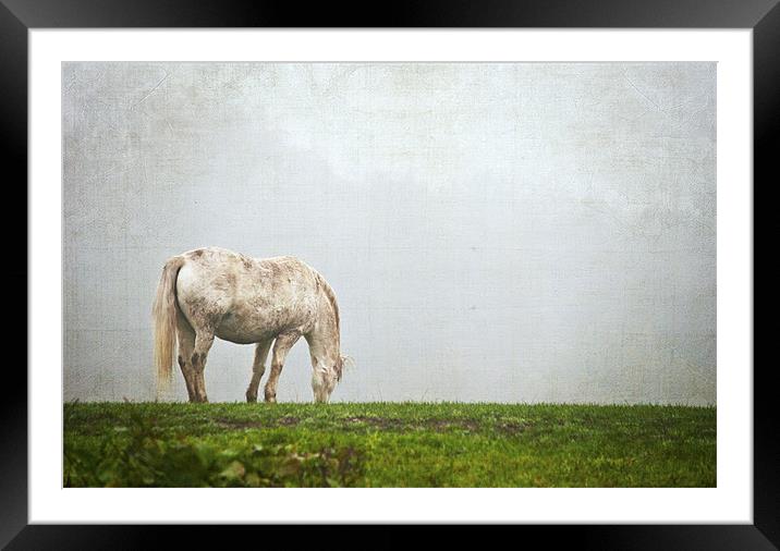 Grazing Pony Framed Mounted Print by Dawn Cox