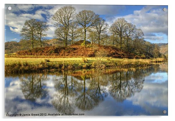 The Trees By The Brathay Acrylic by Jamie Green