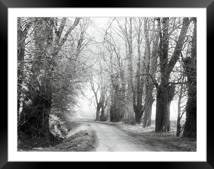 The Lonely Road Framed Mounted Print by carin severn