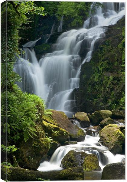 Torc Waterfall Ireland Canvas Print by Steven Brown