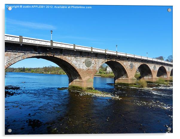 Perth Bridge ( Smeatons Bridge) Acrylic by austin APPLEBY