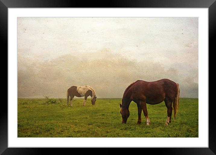 Ghost Horse Framed Mounted Print by Dawn Cox