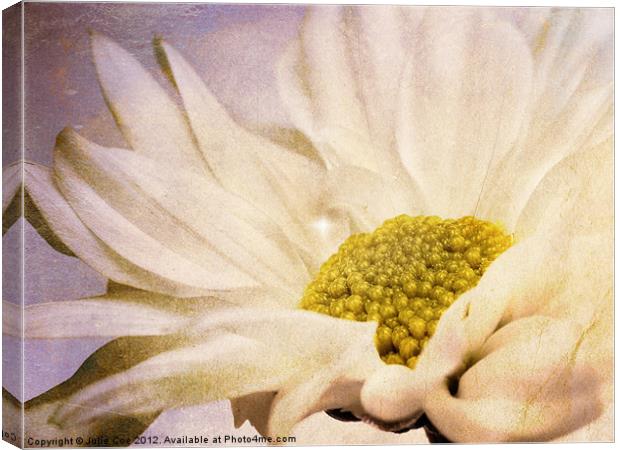 Flower Canvas Print by Julie Coe