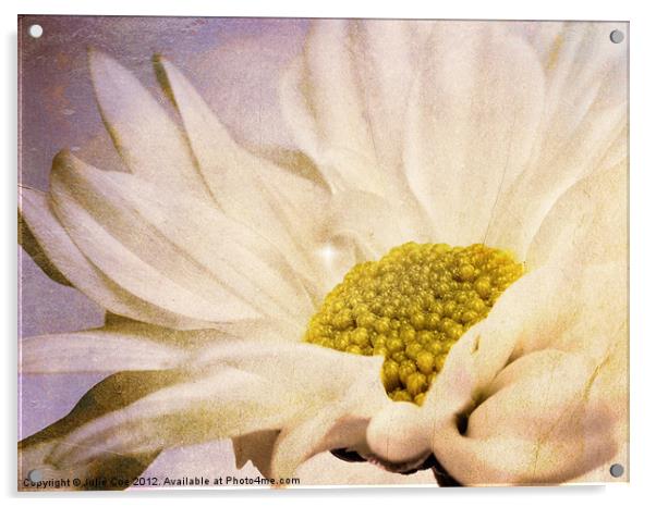 Flower Acrylic by Julie Coe