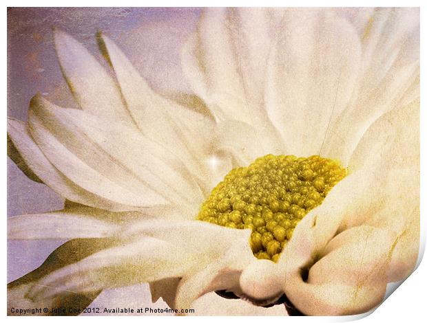 Flower Print by Julie Coe