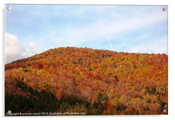 New England in the Fall Acrylic by yvonne & paul carroll