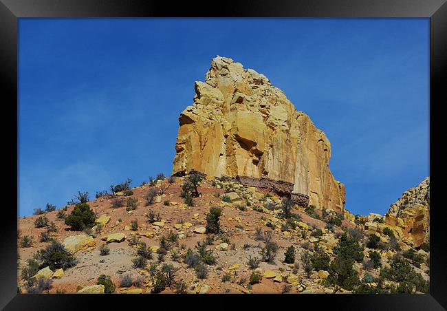 Near Wolverine Petrified Wood Area, Utah Framed Print by Claudio Del Luongo