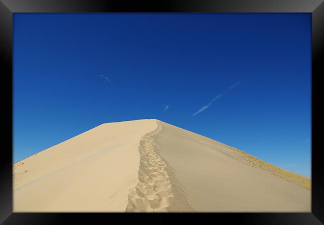 Mojave Desert Dune, California Framed Print by Claudio Del Luongo