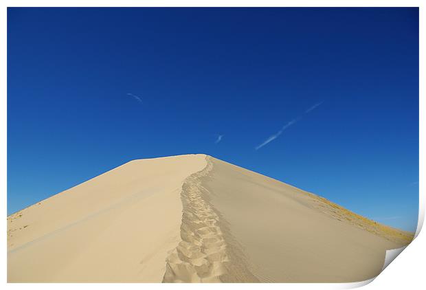 Mojave Desert Dune, California Print by Claudio Del Luongo