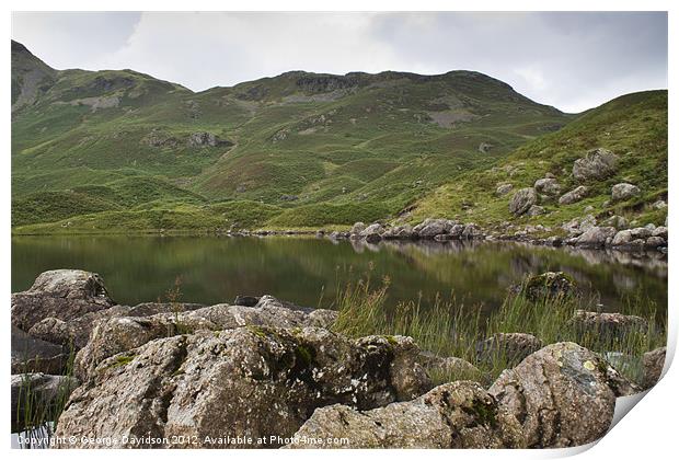 Alcock Tarn Print by George Davidson