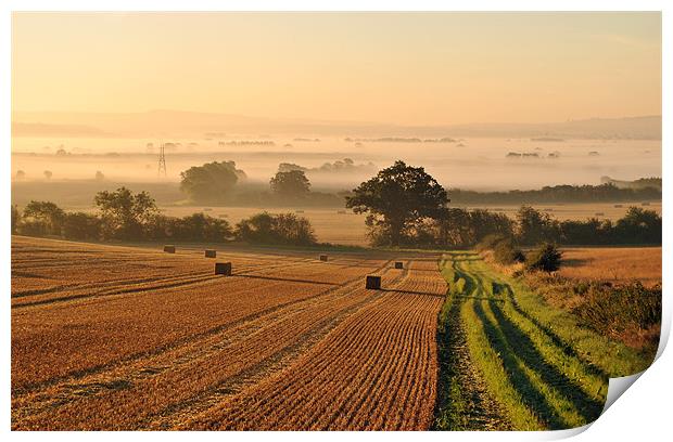 Harvest Dawn in the Vale Print by graham young