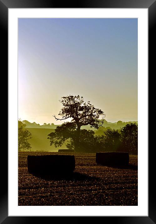 Harvest Dawn Framed Mounted Print by graham young