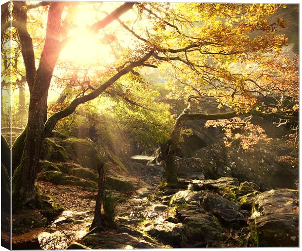 Morning Sun in Betws-Y-Coed Canvas Print by Phil Tinkler