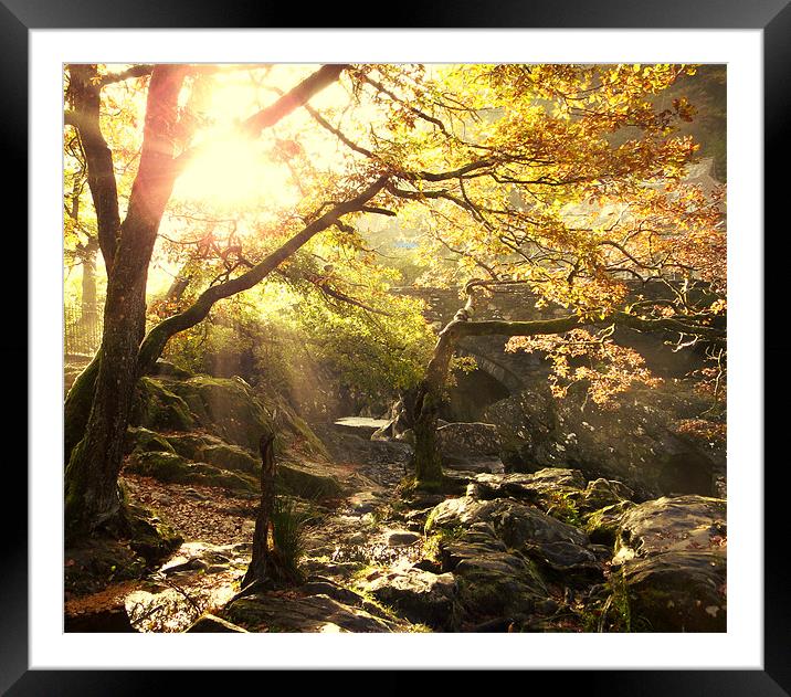 Morning Sun in Betws-Y-Coed Framed Mounted Print by Phil Tinkler