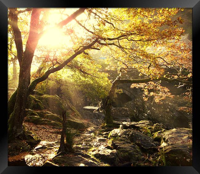 Morning Sun in Betws-Y-Coed Framed Print by Phil Tinkler