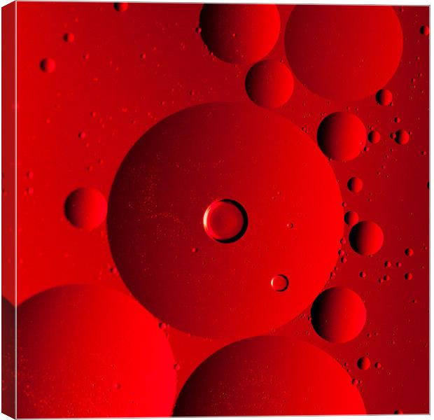 Red Canvas Print by Jonathan Swetnam