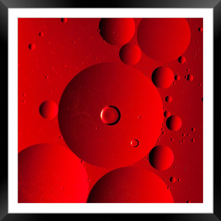 Red Framed Mounted Print by Jonathan Swetnam