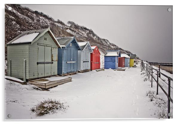 Overstrand in the Snow Acrylic by Paul Macro