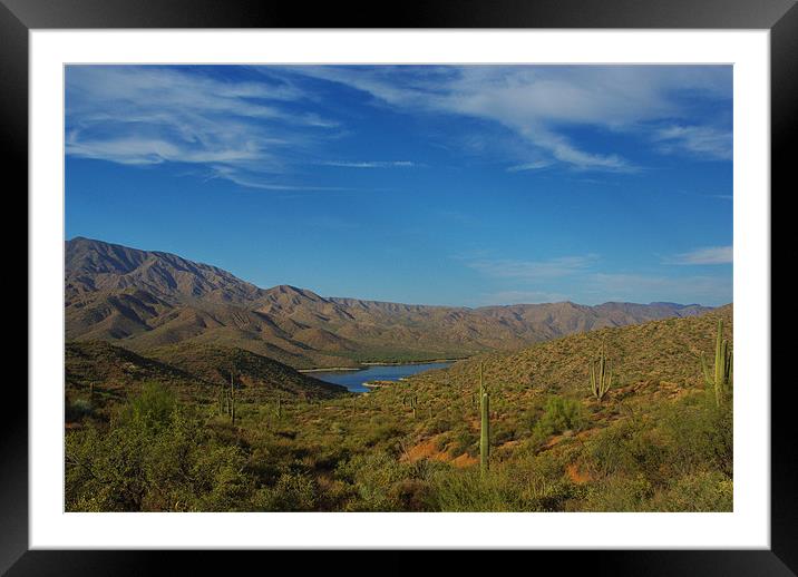 Apache Lake, saguaros and mountains, Arizona Framed Mounted Print by Claudio Del Luongo