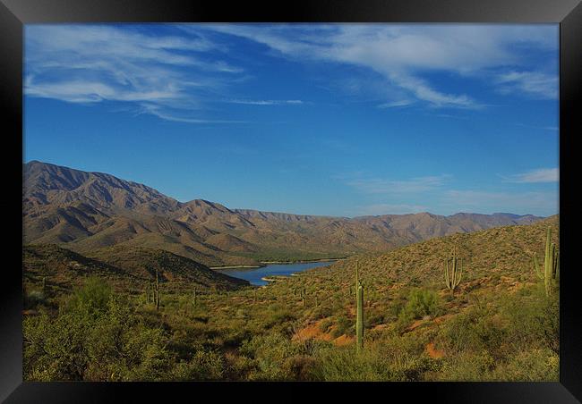 Apache Lake, saguaros and mountains, Arizona Framed Print by Claudio Del Luongo