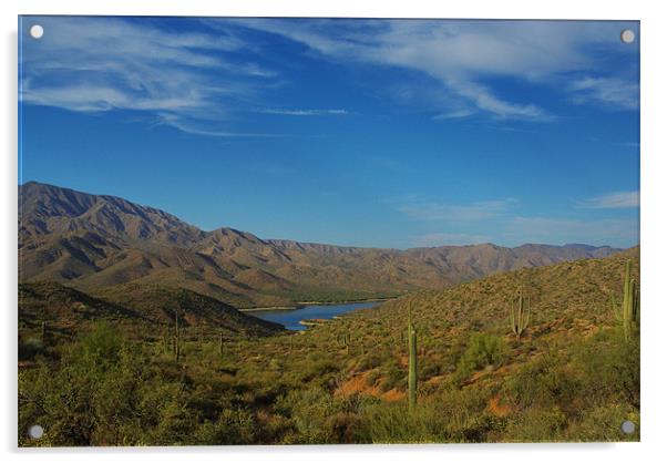 Apache Lake, saguaros and mountains, Arizona Acrylic by Claudio Del Luongo