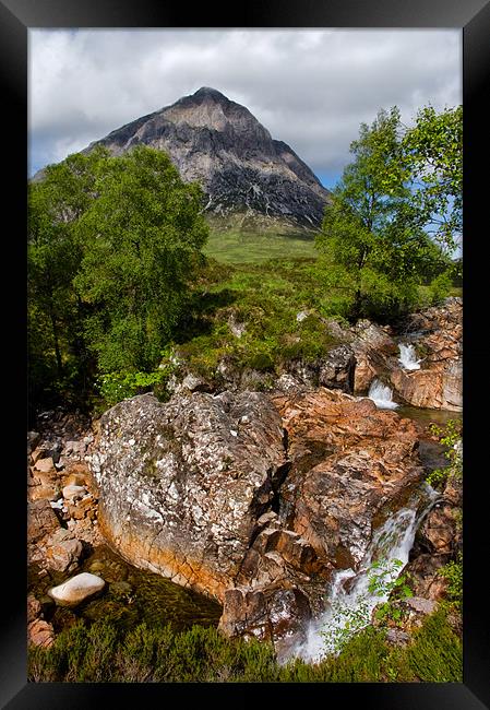 The Buachaille in Summer Framed Print by Jacqi Elmslie