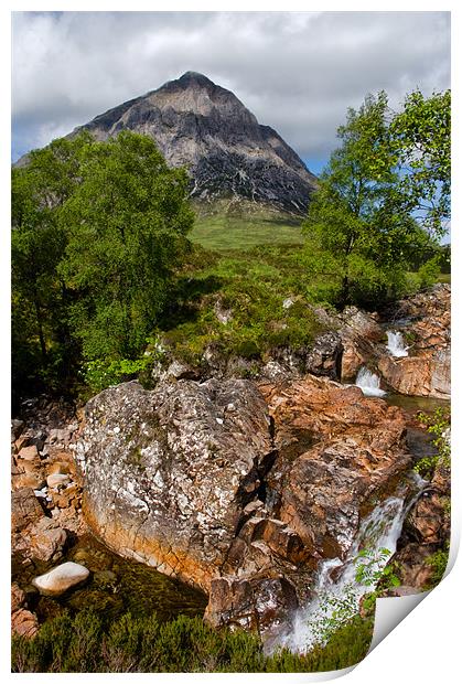 The Buachaille in Summer Print by Jacqi Elmslie