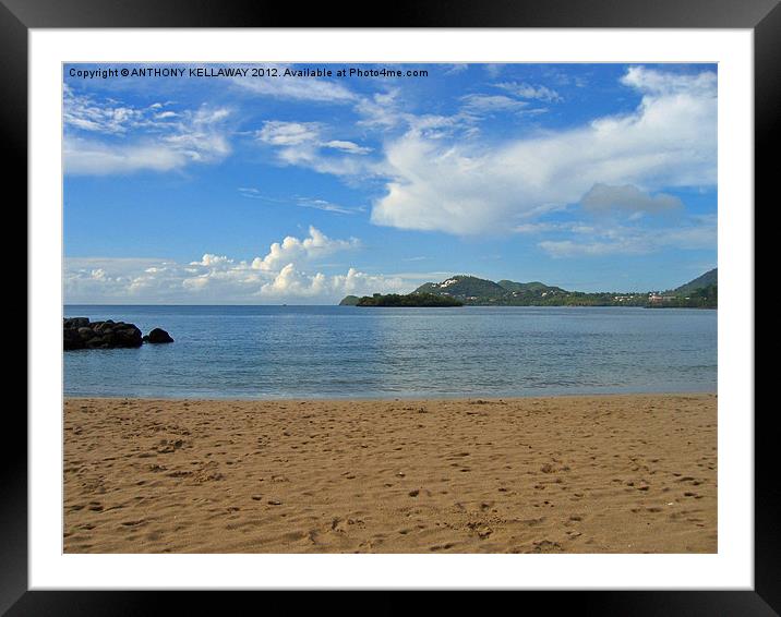 ST. LUCIA BEACH VIEW CARIBBEAN Framed Mounted Print by Anthony Kellaway
