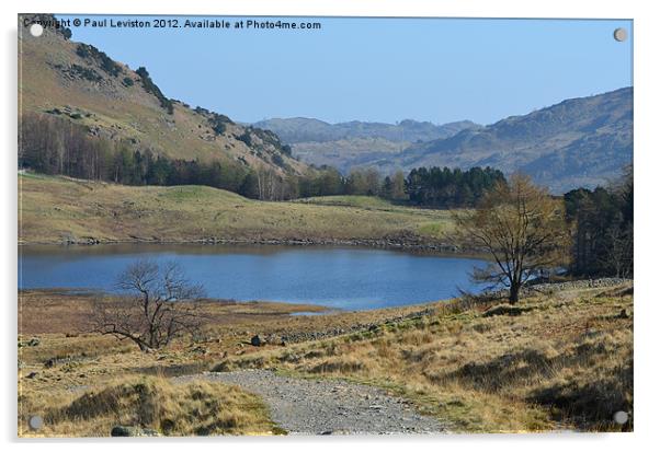 1. Blea Tarn (Spring) Acrylic by Paul Leviston