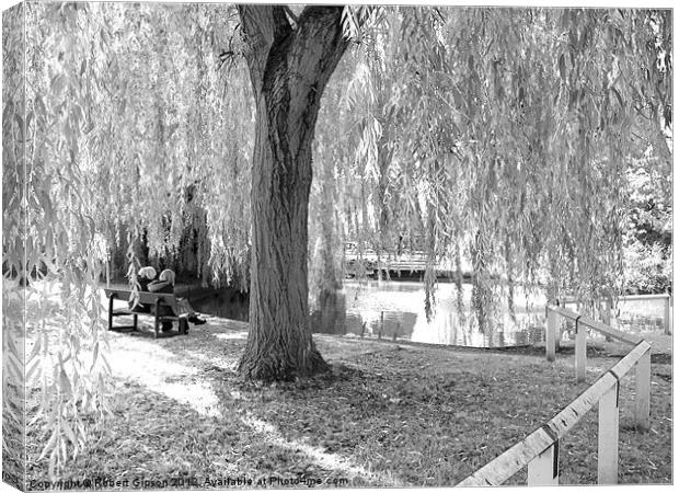 Village pond, Haxby,Yorkshire. Canvas Print by Robert Gipson