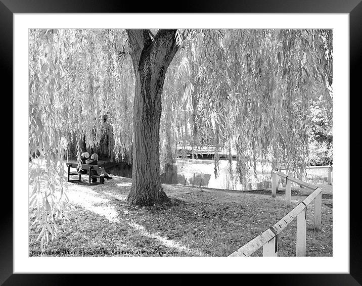 Village pond, Haxby,Yorkshire. Framed Mounted Print by Robert Gipson
