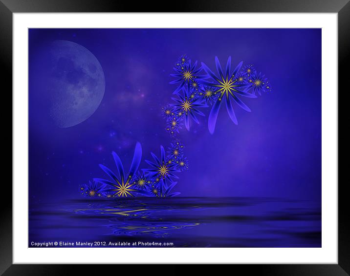 Blue Moon Framed Mounted Print by Elaine Manley
