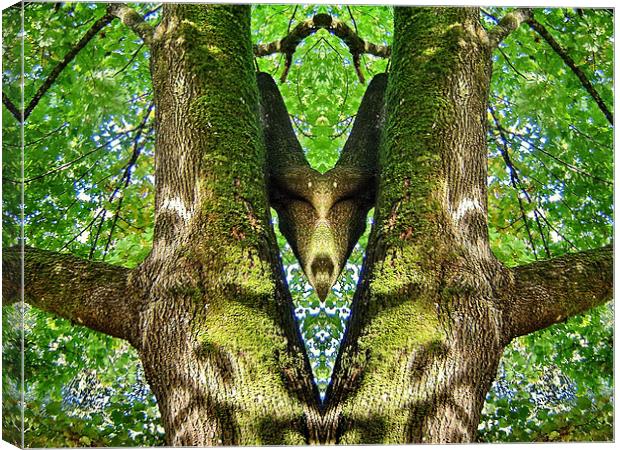 Forest Greeting  Canvas Print by Jane Tripp