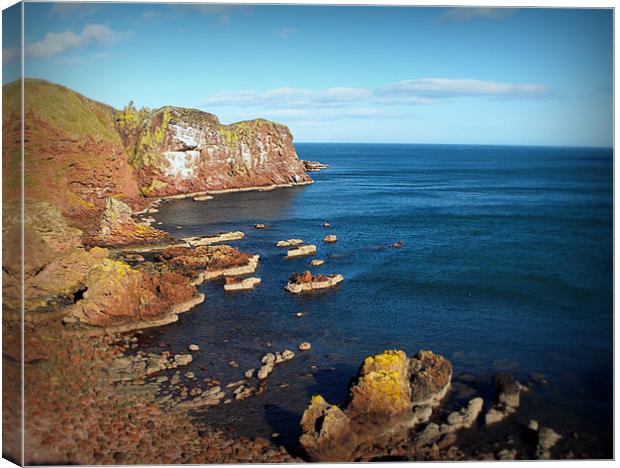 st.abbs Canvas Print by dale rys (LP)