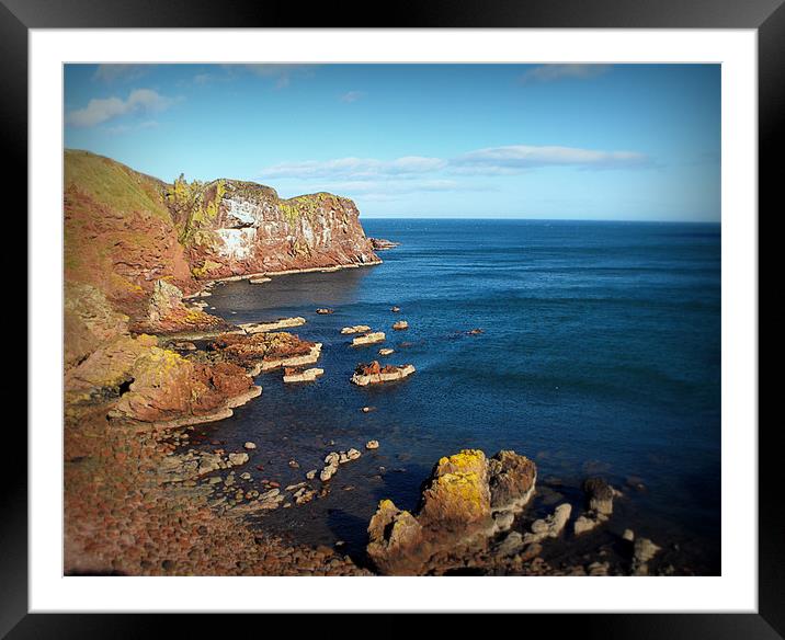 st.abbs Framed Mounted Print by dale rys (LP)