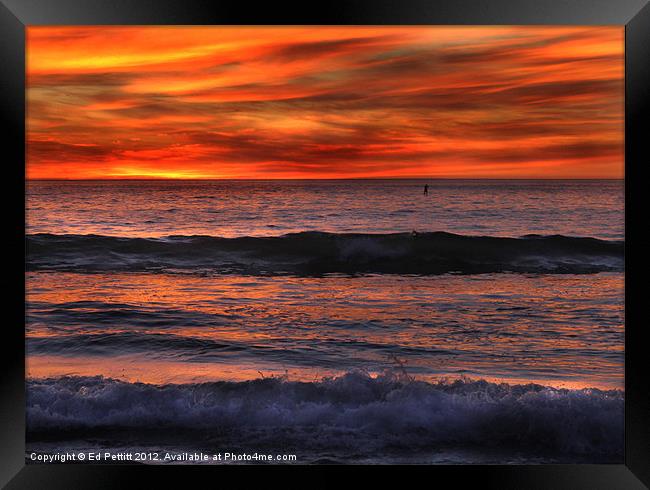 Paddle Boarder Sunset Framed Print by Ed Pettitt