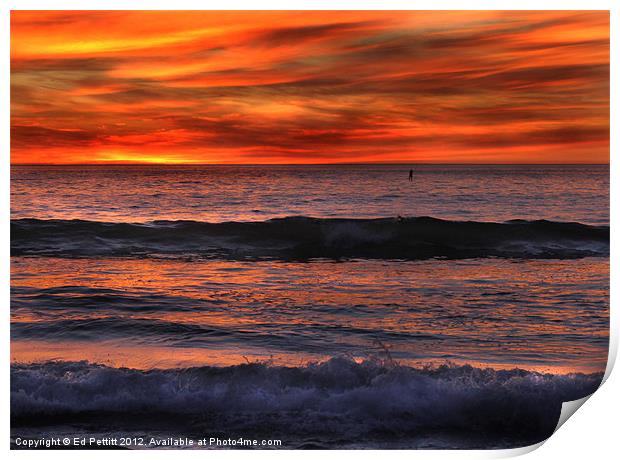 Paddle Boarder Sunset Print by Ed Pettitt