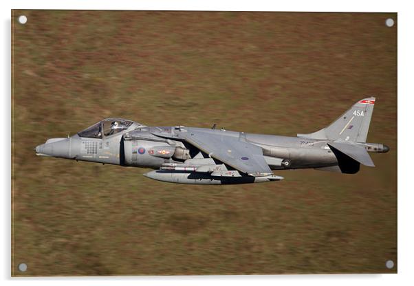 Harrier GR9A Low Level Acrylic by Philip Berry