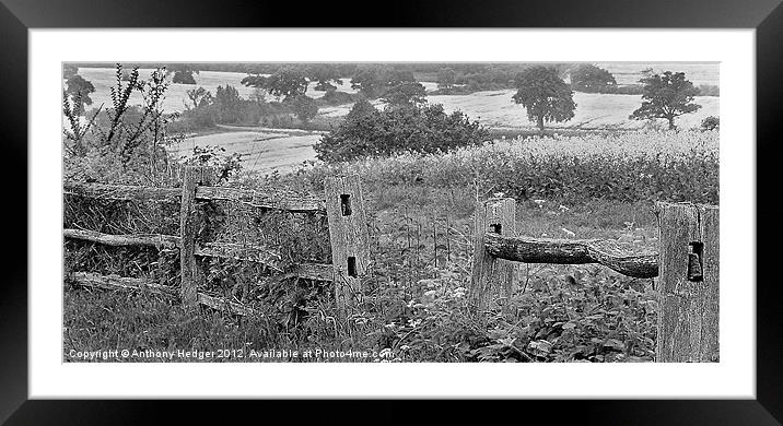 The Old Fence Framed Mounted Print by Anthony Hedger