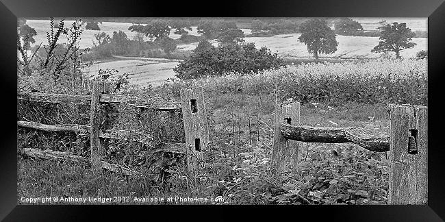 The Old Fence Framed Print by Anthony Hedger