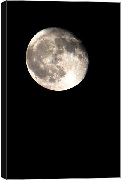 Full moon in November Canvas Print by andrew pearson