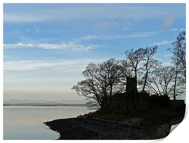 Morning on Strangford Lough Print by Noreen Linale