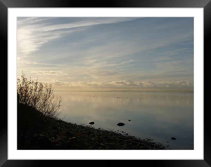 Morning Light Framed Mounted Print by Noreen Linale