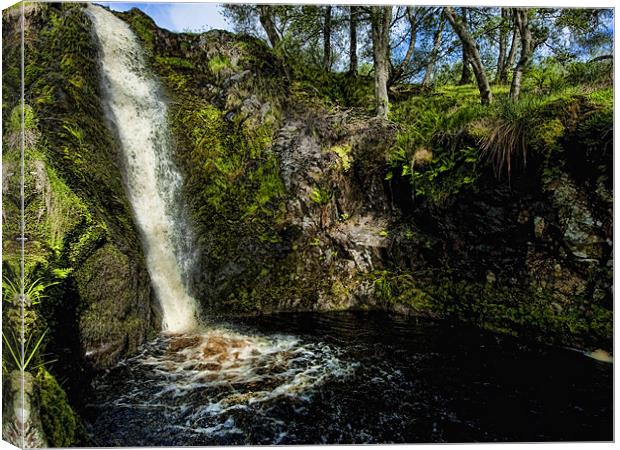 Linhope Spout waterfall Canvas Print by Paul Fisher